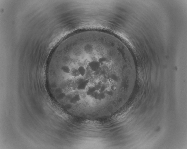 X0000089880487200706281353