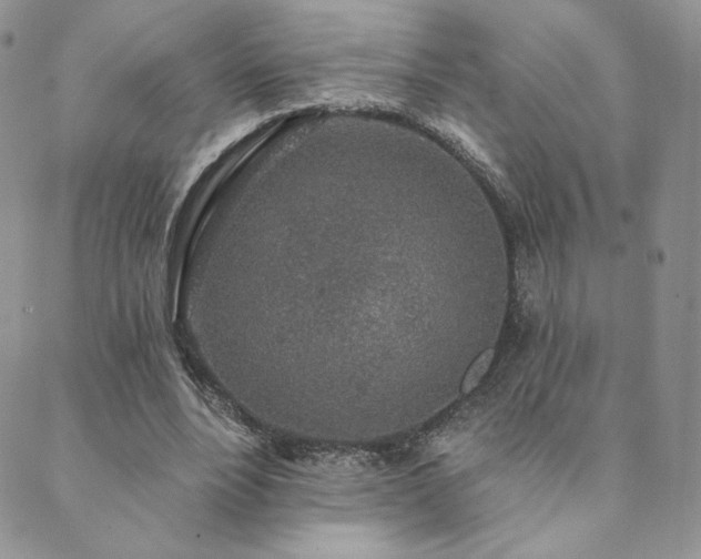 X0000089880488200706281353