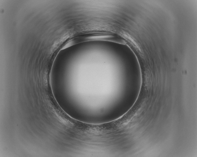 X0000089880489200706281353