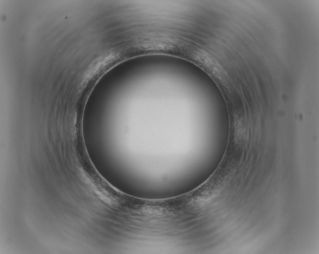 X0000089880490200706281353