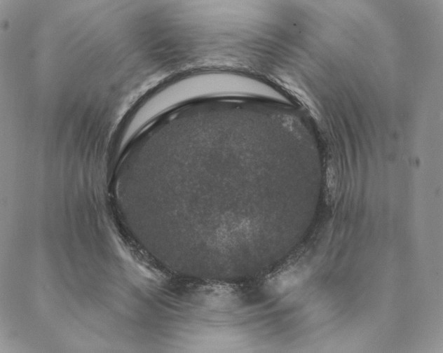 X0000089880492200706281353