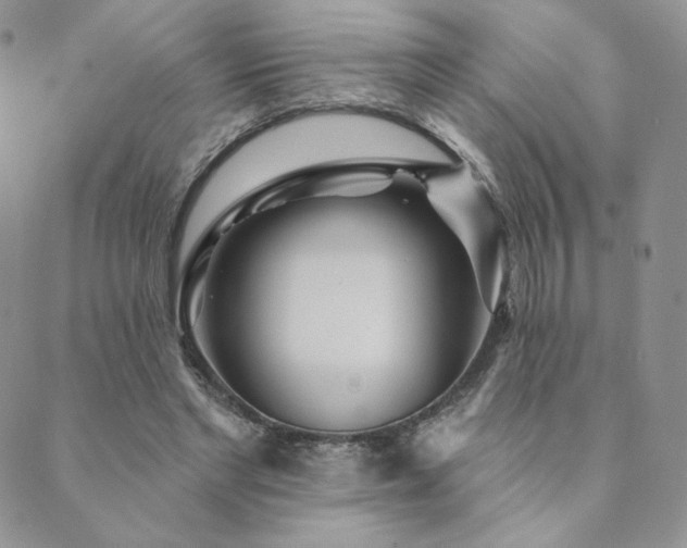 X0000089880493200706281353