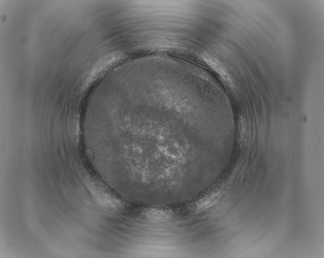 X0000089880494200706281353