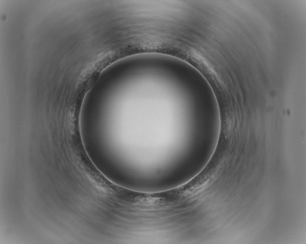 X0000089880497200706281353