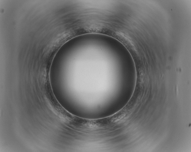 X0000089880498200706281353