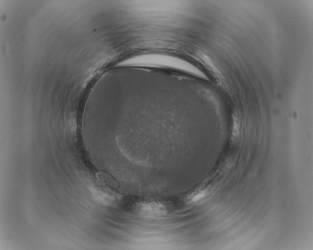 X0000089880500200706281353