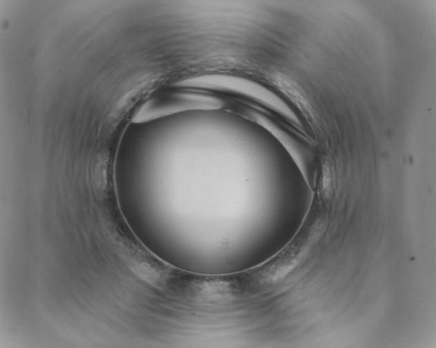 X0000089880501200706281353