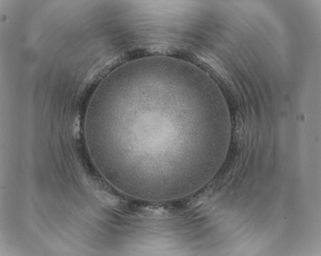 X0000089880502200706281353