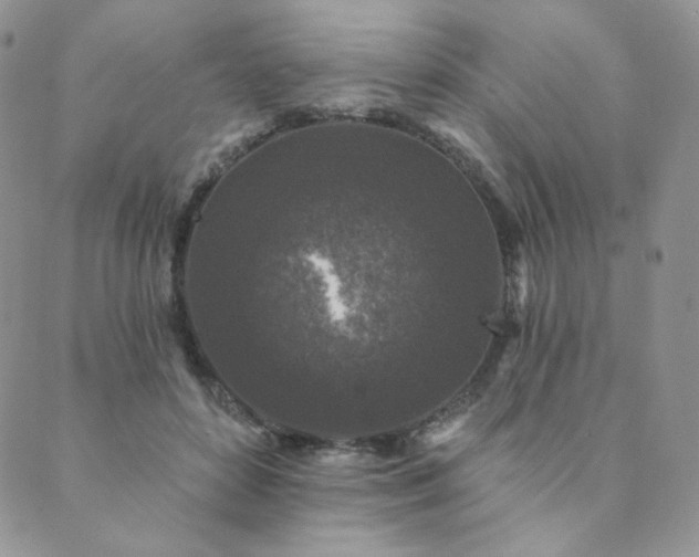 X0000089880504200706281353