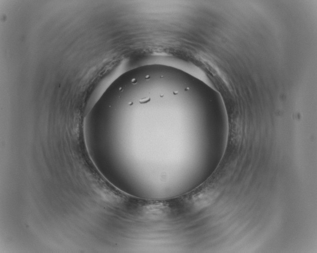 X0000089880505200706281353