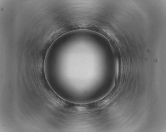 X0000089880509200706281353