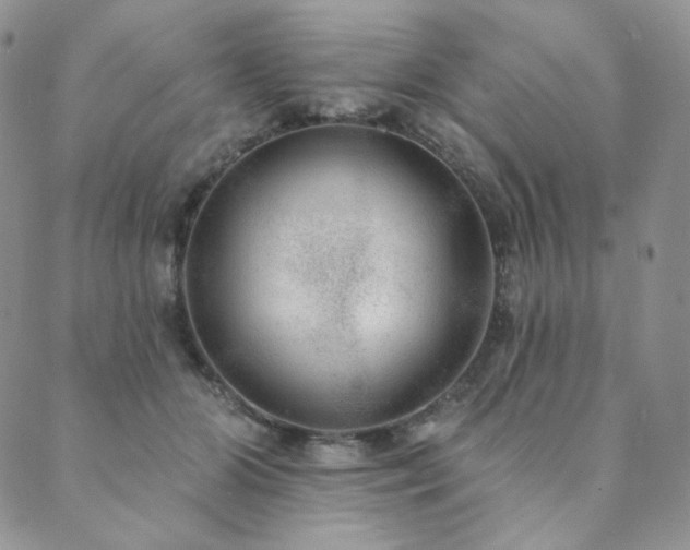 X0000089880510200706281353