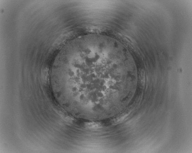 X0000089880511200706281353