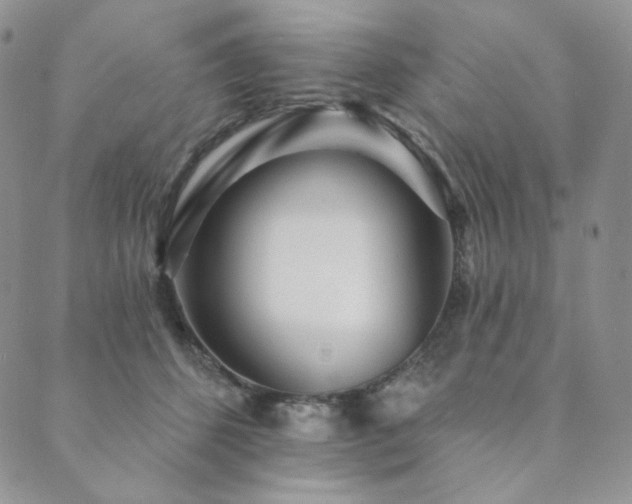 X0000089880512200706281353