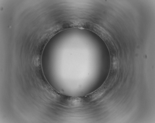 X0000089880514200706281353