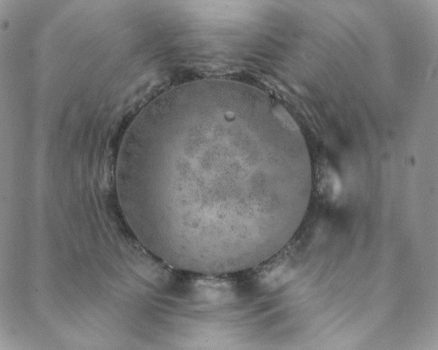 X0000089880515200706281353