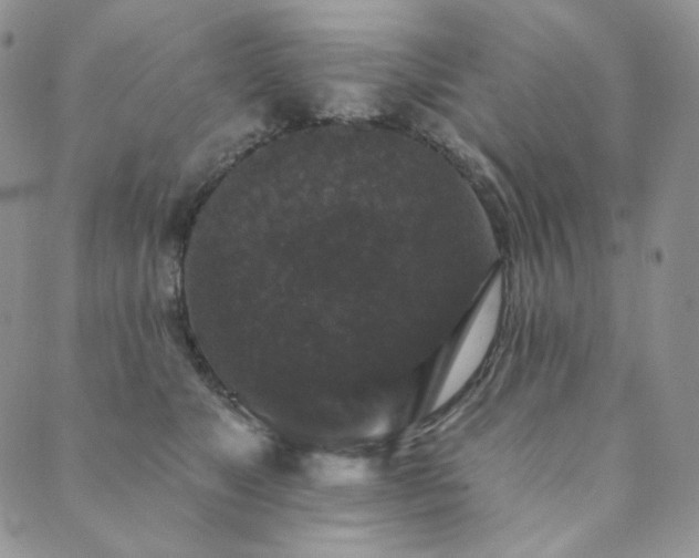 X0000089880517200706281353