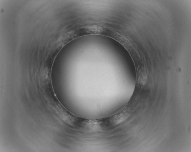 X0000089880518200706281353