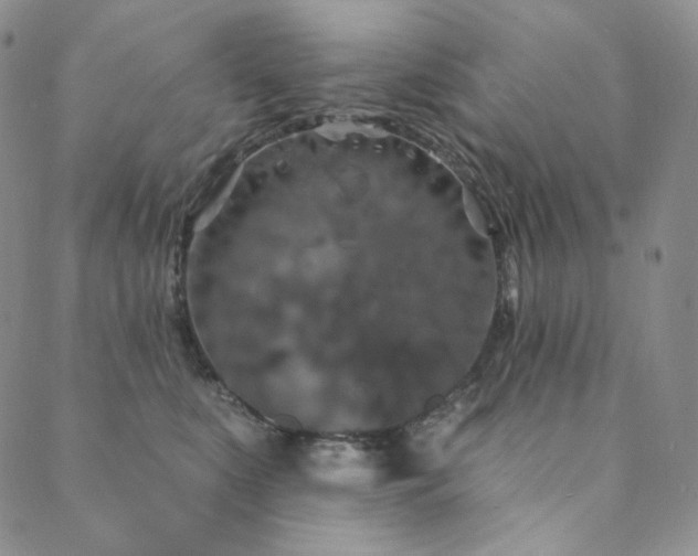 X0000089880519200706281353