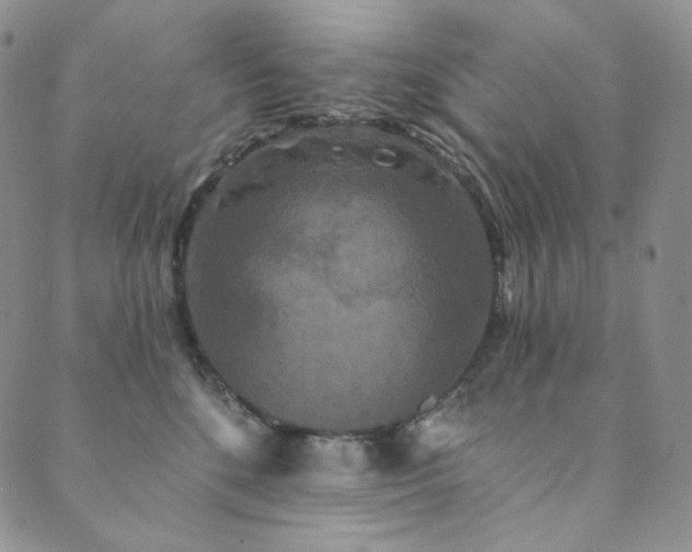 X0000089880520200706281353