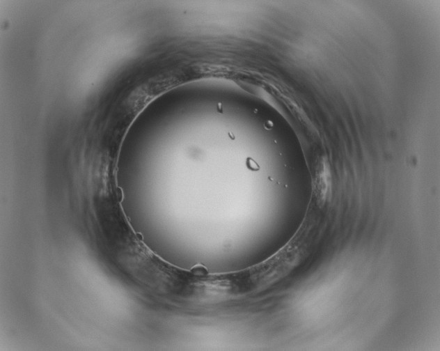 X0000089880525200706281353