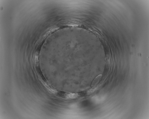 X0000089880527200706281353