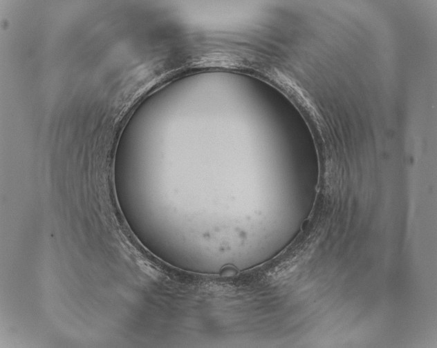 X0000089880529200706281352