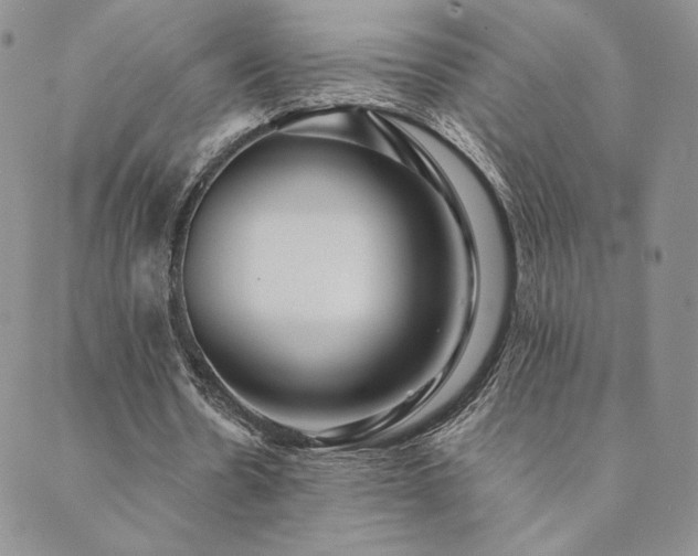 X0000089880530200706281352