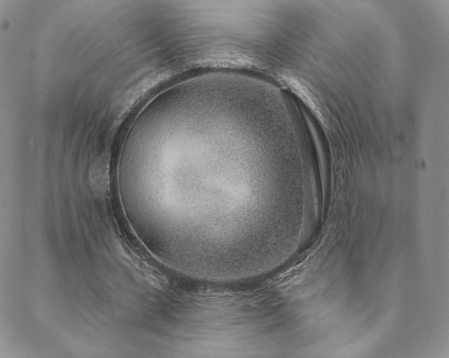 X0000089880531200706281352