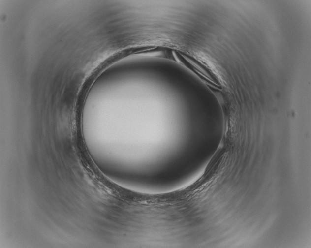 X0000089880532200706281352