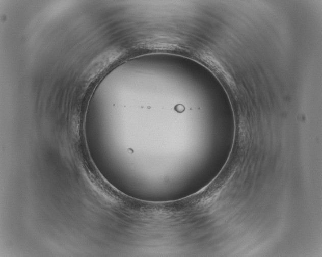 X0000089880533200706281352