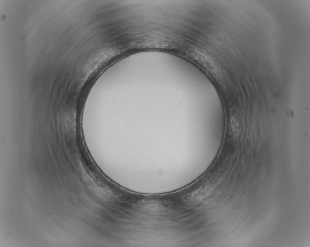 X0000089880534200706281352