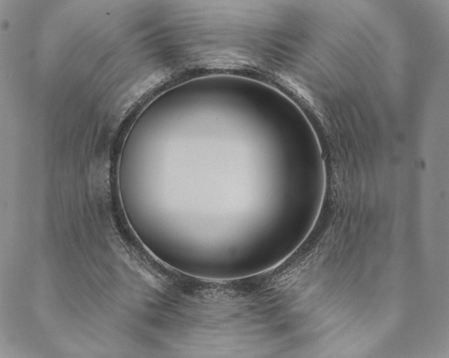 X0000089880535200706281352