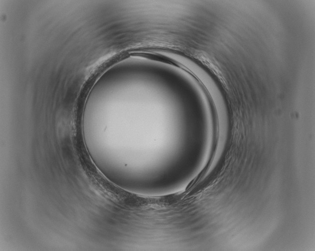 X0000089880536200706281352