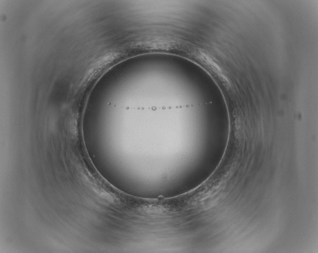 X0000089880537200706281352