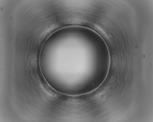 X0000089880538200706281352