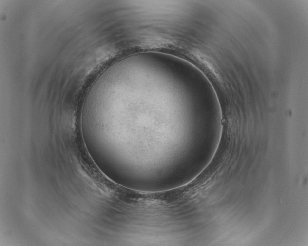 X0000089880539200706281352