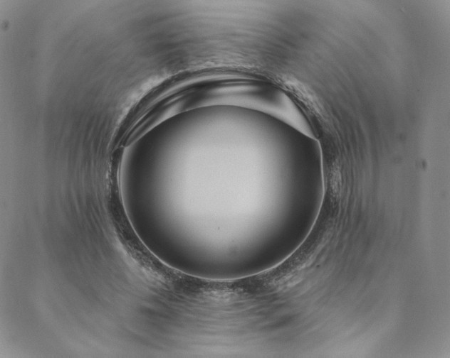 X0000089880540200706281352