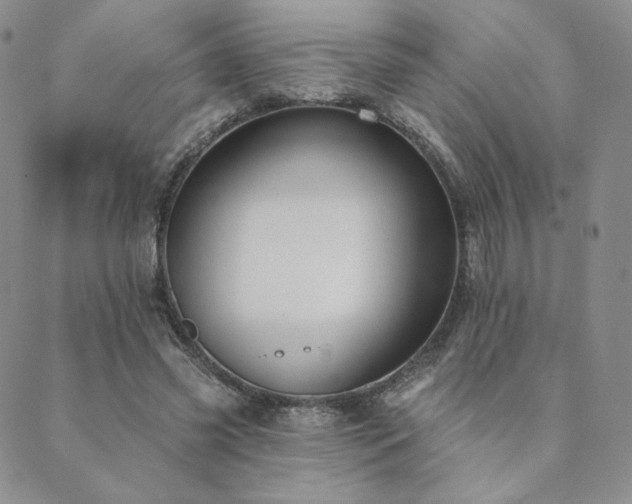 X0000089880541200706281352