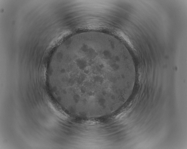 X0000089880542200706281352