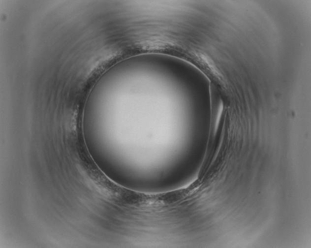 X0000089880543200706281352