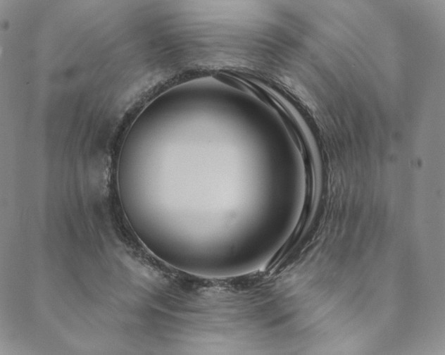 X0000089880544200706281352