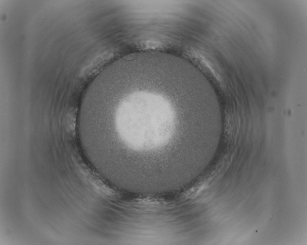 X0000089880545200706281352