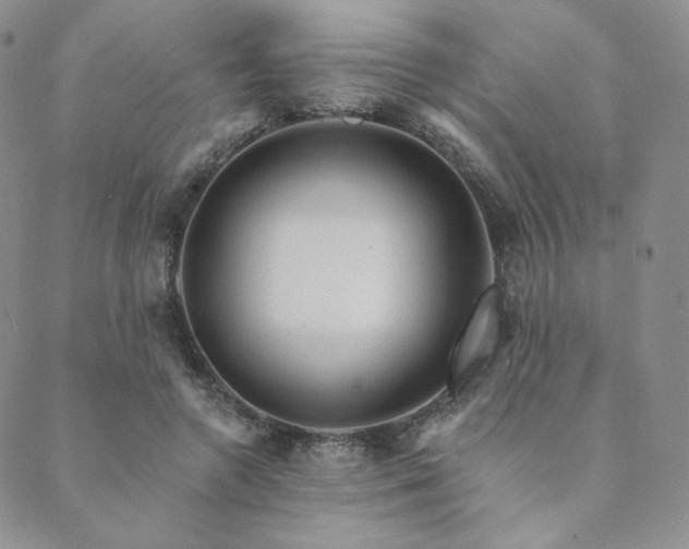 X0000089880546200706281352