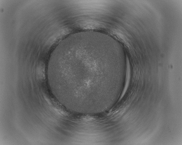 X0000089880547200706281352