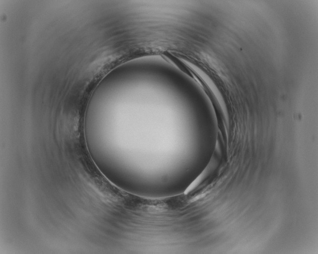 X0000089880548200706281352