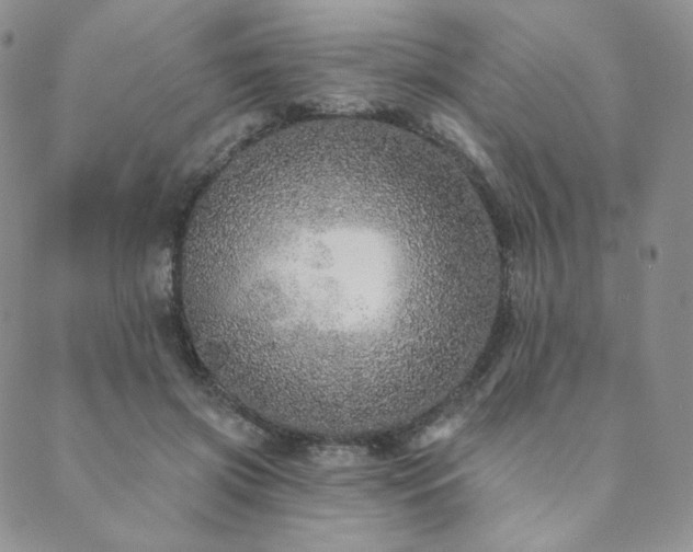 X0000089880549200706281352