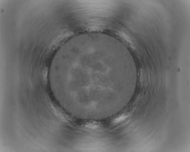 X0000089880550200706281352