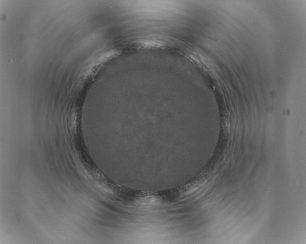 X0000089880551200706281352