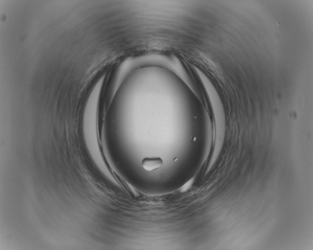 X0000089880552200706281352